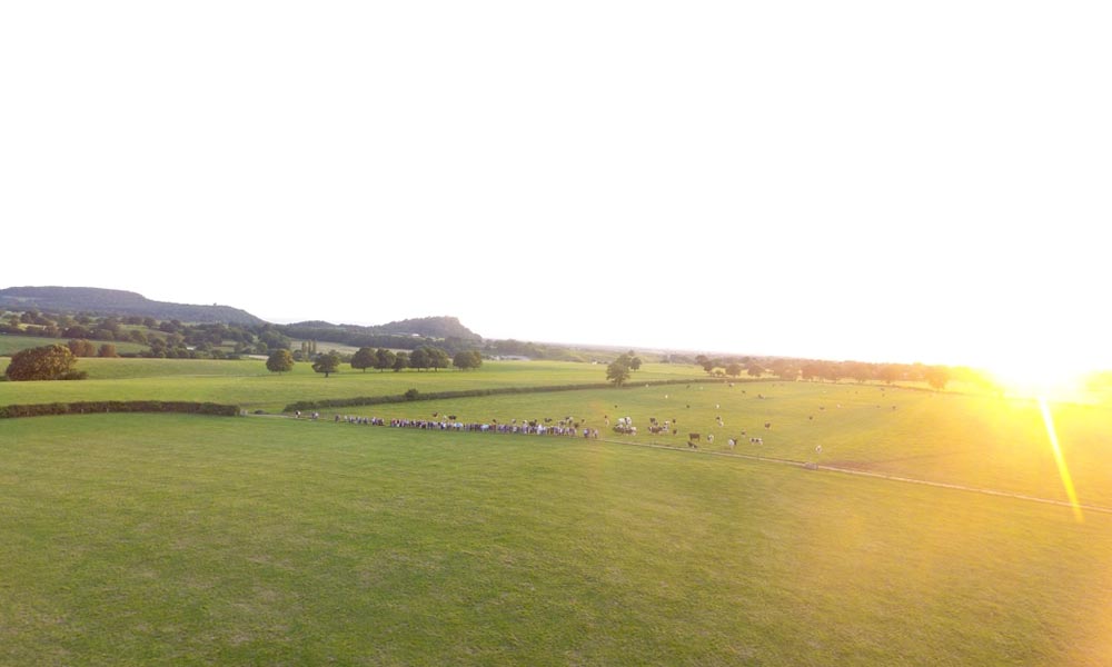 DJI_0022
